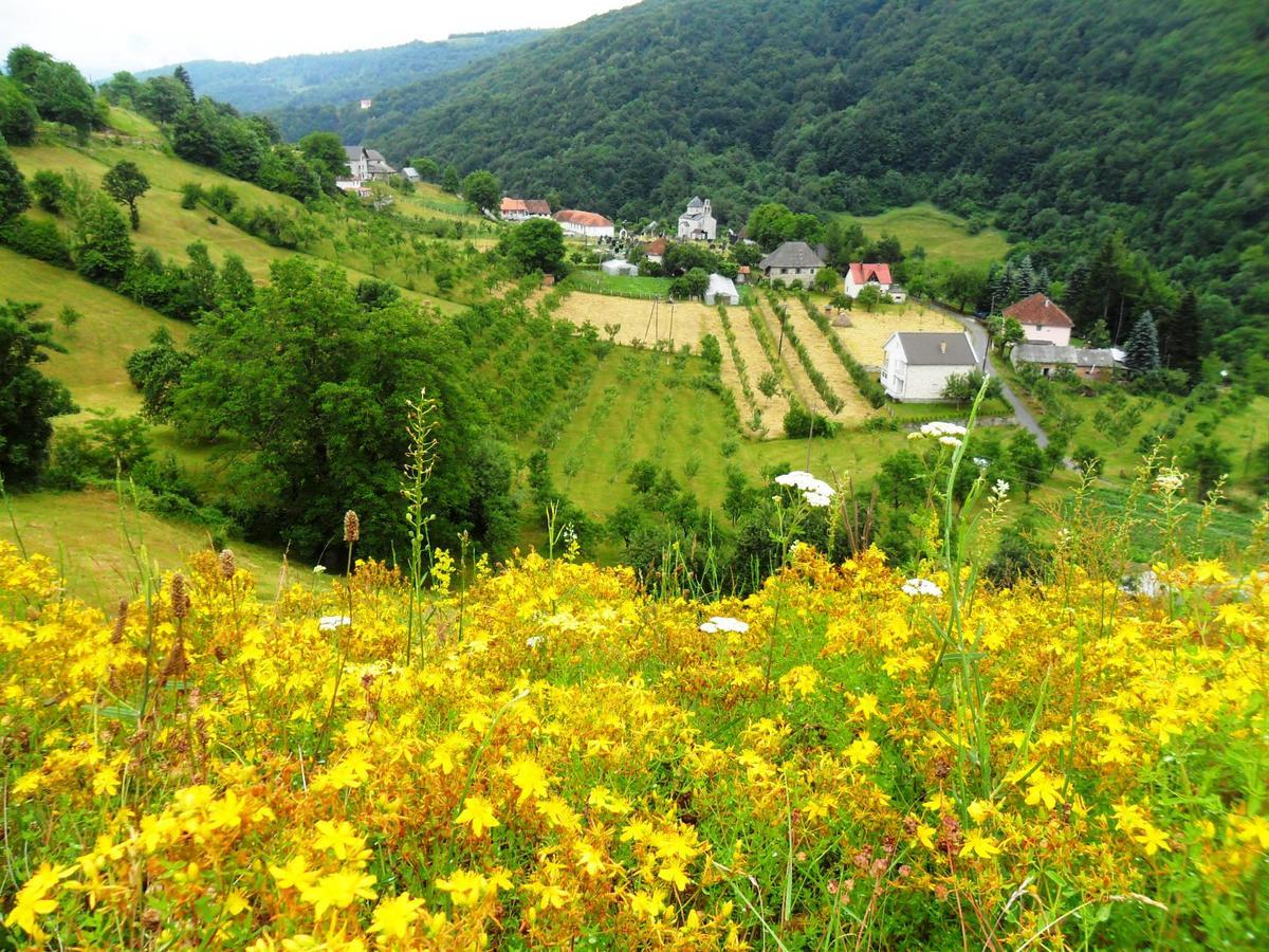 Kraljska Koliba - Kralje'S Cottage Andrijevica Ngoại thất bức ảnh